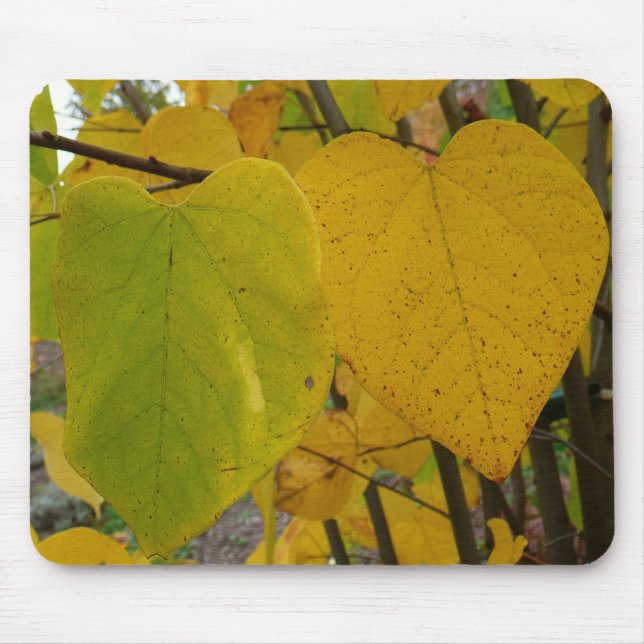 Pair of Fall Redbud Leaves Autumn Photography Mouse Pad (Front)