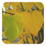 Pair of Fall Redbud Leaves Autumn Photography Square Sticker