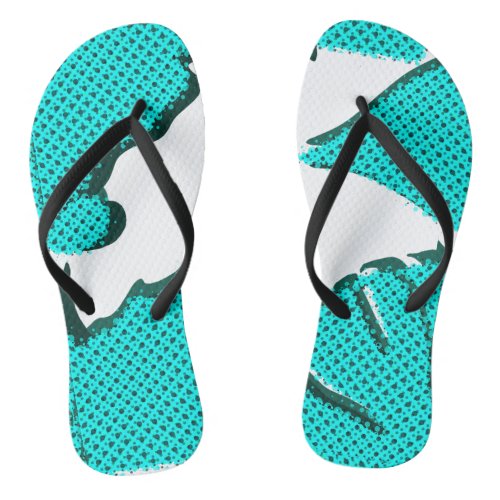 Pair of Flip Flops