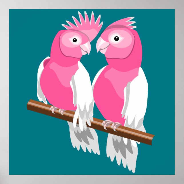 Pair of Galahs Poster (Front)