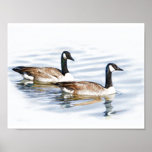 Pair of Geese Poster (Front)