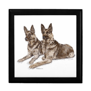 Pair of German Shepherd Dogs Gift Box