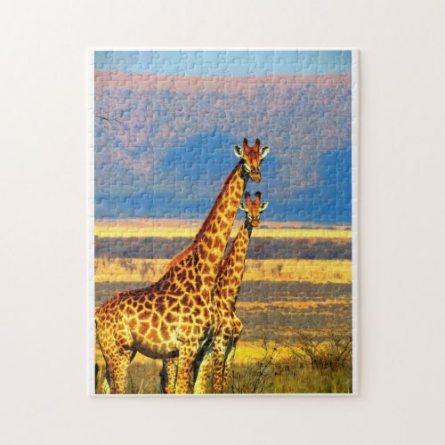 Pair of Giraffes Jigsaw Puzzle