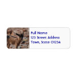 Pair of Goats Label
