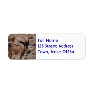 Pair of Goats Label