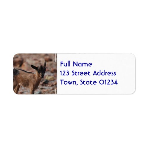 Pair of Goats Label