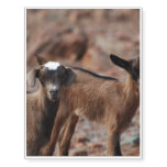Pair of Goats Temporary Tattoos