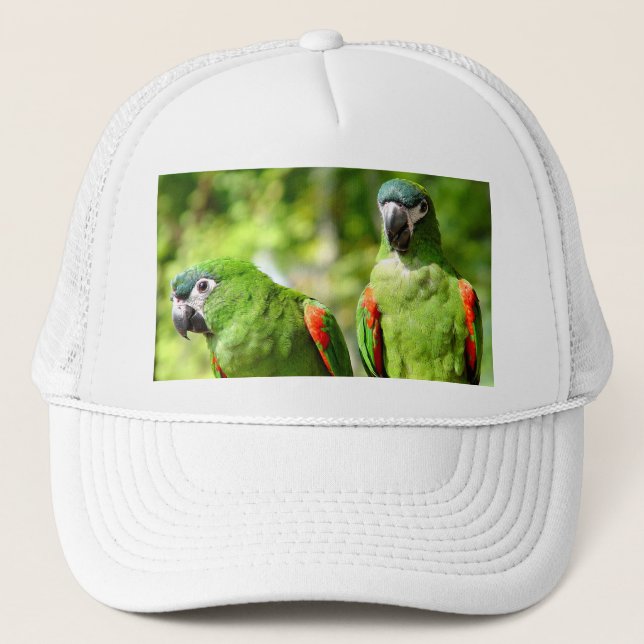 Pair of Green Parrots Hat (Front)