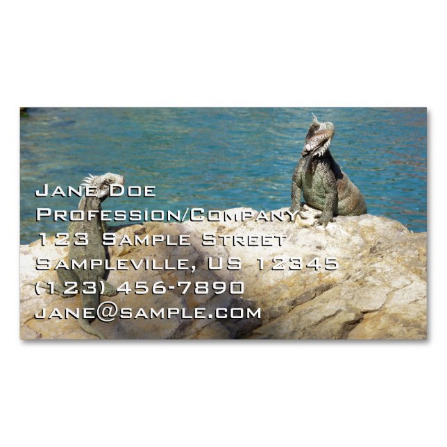 Pair of Iguanas Tropical Wildlife Photography Business Card Magnet (Front)