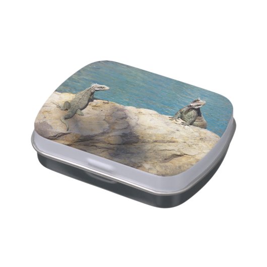 Pair of Iguanas Tropical Wildlife Photography Candy Tin (Side)