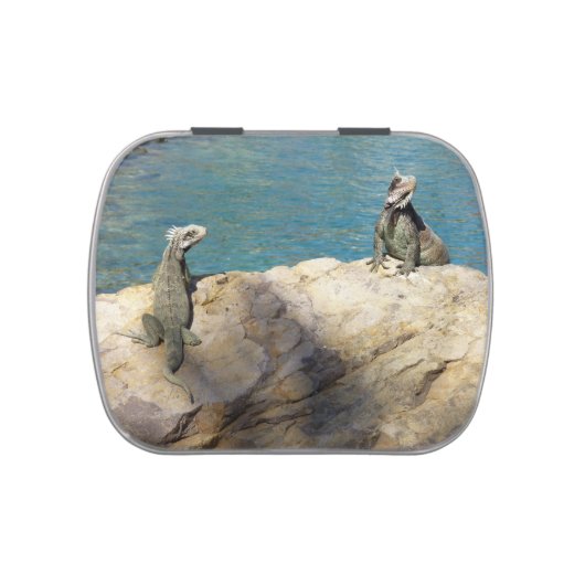 Pair of Iguanas Tropical Wildlife Photography Candy Tin (Top)