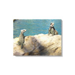 Pair of Iguanas Tropical Wildlife Photography Canvas Print