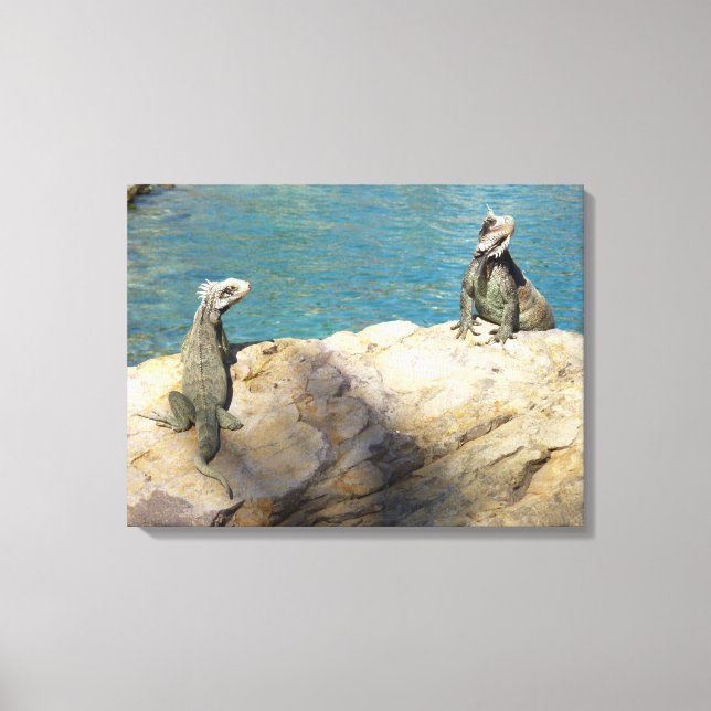 Pair of Iguanas Tropical Wildlife Photography Canvas Print (Front)