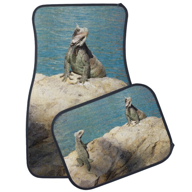 Pair of Iguanas Tropical Wildlife Photography Car Floor Mat (Set)