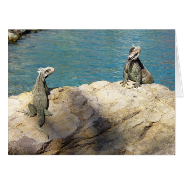 Pair of Iguanas Tropical Wildlife Photography Card (Front Horizontal)