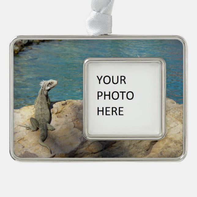 Pair of Iguanas Tropical Wildlife Photography Christmas Ornament (Front)