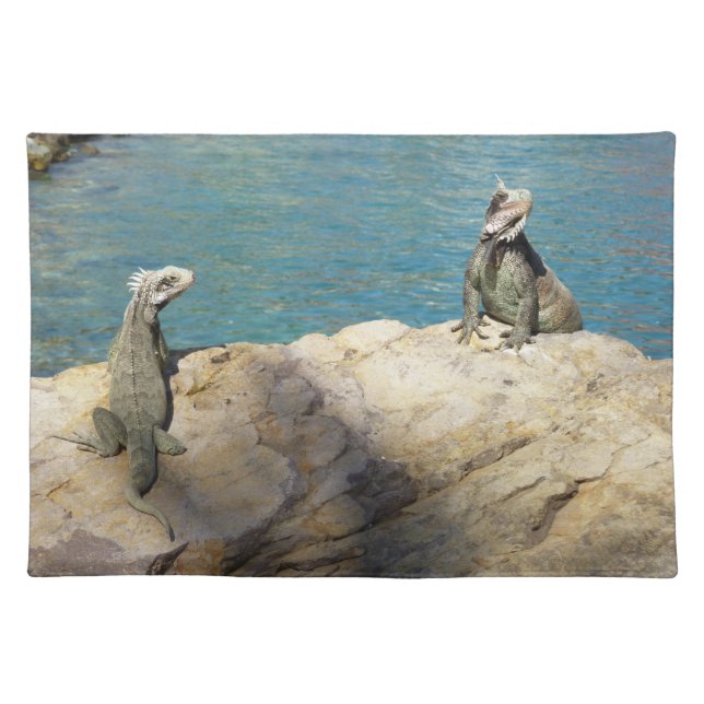 Pair of Iguanas Tropical Wildlife Photography Cloth Placemat (Front)