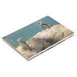 Pair of Iguanas Tropical Wildlife Photography Guest Book
