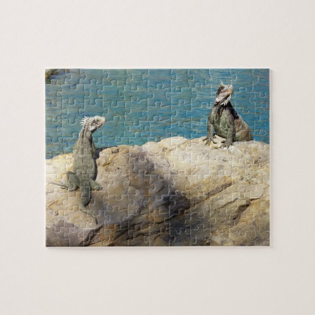 Pair of Iguanas Tropical Wildlife Photography Jigsaw Puzzle (Horizontal)