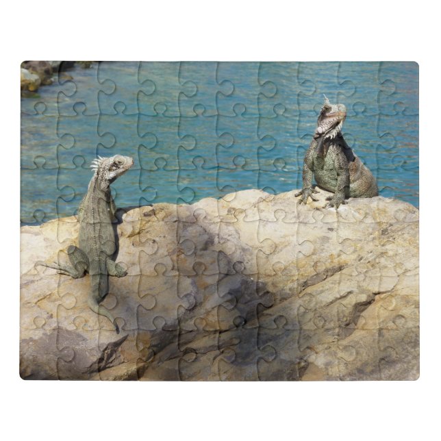 Pair of Iguanas Tropical Wildlife Photography Jigsaw Puzzle (Puzzle Horizontal)
