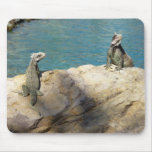 Pair of Iguanas Tropical Wildlife Photography Mouse Pad