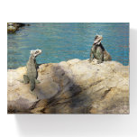 Pair of Iguanas Tropical Wildlife Photography Paperweight