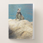 Pair of Iguanas Tropical Wildlife Photography Pocket Folder