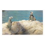 Pair of Iguanas Tropical Wildlife Photography Rectangular Sticker
