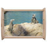 Pair of Iguanas Tropical Wildlife Photography Serving Tray