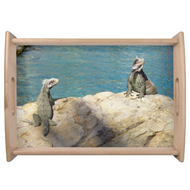 Pair of Iguanas Tropical Wildlife Photography Serving Tray (Front)