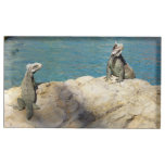 Pair of Iguanas Tropical Wildlife Photography Table Card Holder