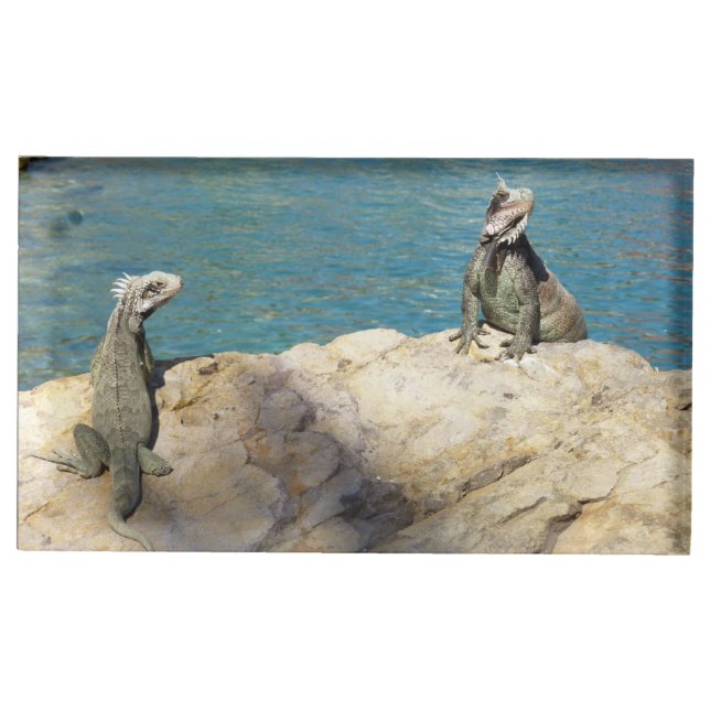 Pair of Iguanas Tropical Wildlife Photography Table Card Holder (Front)