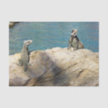 Pair of Iguanas Tropical Wildlife Photography Tissue Paper