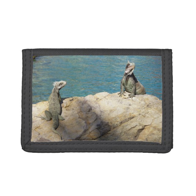 Pair of Iguanas Tropical Wildlife Photography Trifold Wallet (Front)