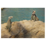 Pair of Iguanas Tropical Wildlife Photography Wood Poster
