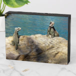 Pair of Iguanas Tropical Wildlife Photography Wooden Box Sign