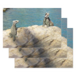 Pair of Iguanas Tropical Wildlife Photography Wrapping Paper Sheets