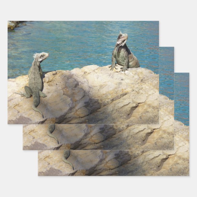 Pair of Iguanas Tropical Wildlife Photography Wrapping Paper Sheets (Set)