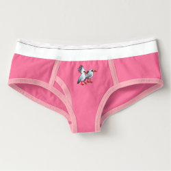 Kagu Pair Women's American Apparel Cotton Spandex Briefs