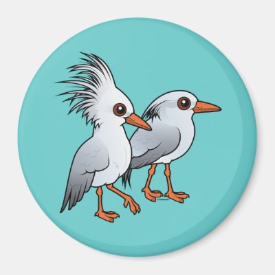 Pair of Kagu Magnet