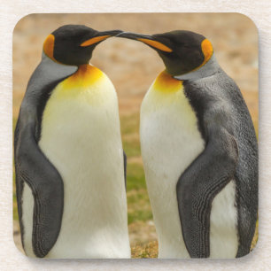 Pair of King Penguins, Falklands Coaster