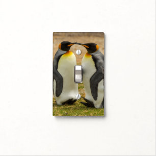 Pair of King Penguins, Falklands Light Switch Cover