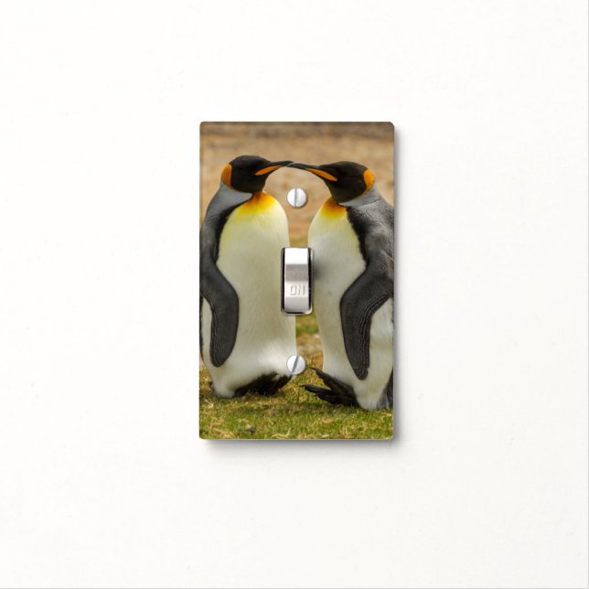Pair of King Penguins, Falklands Light Switch Cover (In Situ)
