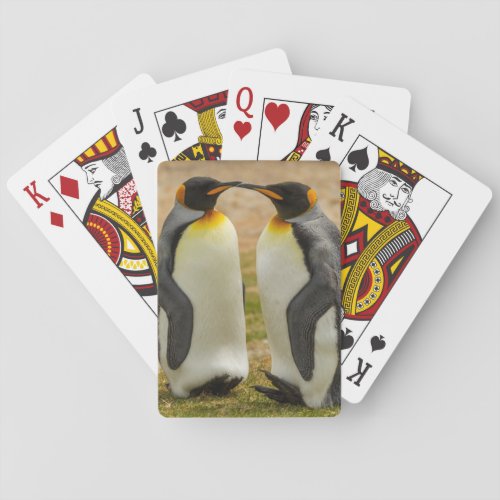 Pair of King Penguins Falklands Playing Cards