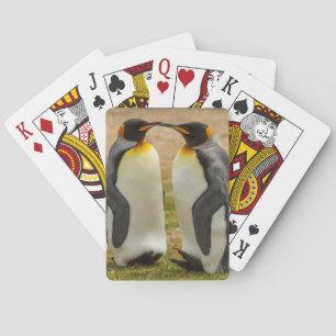 Pair of King Penguins, Falklands Poker Cards