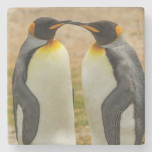 Pair of King Penguins, Falklands Stone Coaster