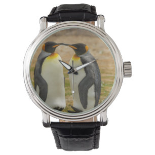 Pair of King Penguins, Falklands Watch