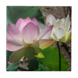 Pair of Lotus Flowers I Ceramic Tile