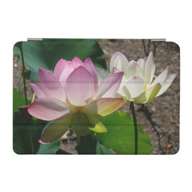 Pair of Lotus Flowers I iPad Mini Cover (Horizontal)