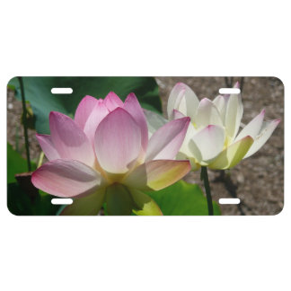 Pair of Lotus Flowers I License Plate